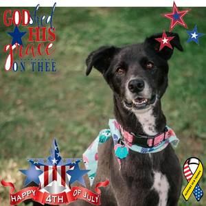 Meet your Posher, Jody